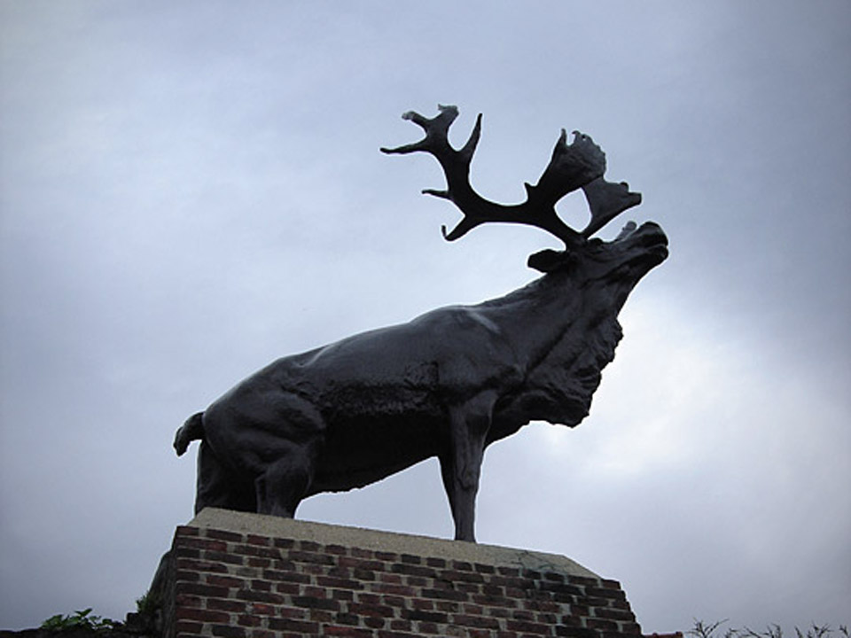 tour_CANADIAN-TOUR-ARRAS-AND-VIMY-RIDGE